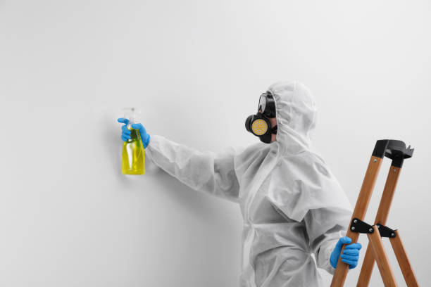 Best Commercial Mold Inspection in North Pembroke, MA